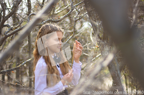 Image of A girl stands with dried wildflowers, in the foreground and background blurred branches of bushes in the forest