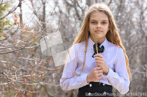 Image of A girl stands with dried wildflowers on the background of a spring forest