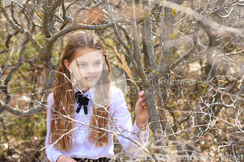 Image of A girl in a white shirt and a bow tie around her neck walks through the spring forest, close-up portrait