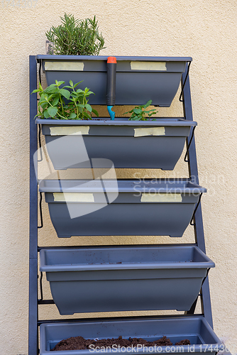 Image of Vertical shot of small vertical garden, hobby