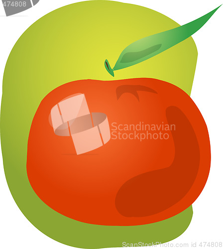 Image of Tangerine fruit illustration