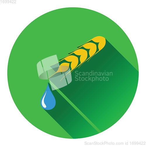 Image of Wheat with drop icon