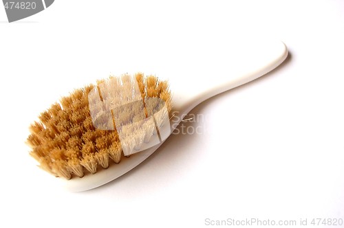 Image of Brush