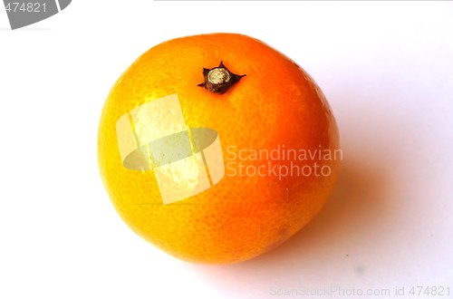 Image of Mandarin Orange