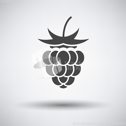 Image of Raspberry icon on gray background