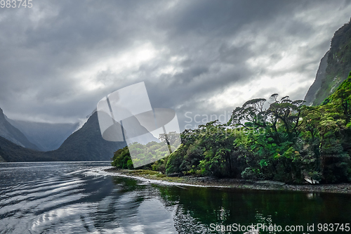 Image of Milford Sound, fiordland national park, New Zealand