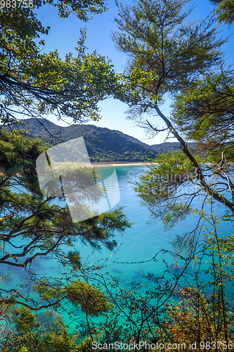 Image of Track view in Abel Tasman National Park, New Zealand