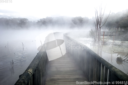 Image of Bridge on a misty lake in Rotorua, New Zealand