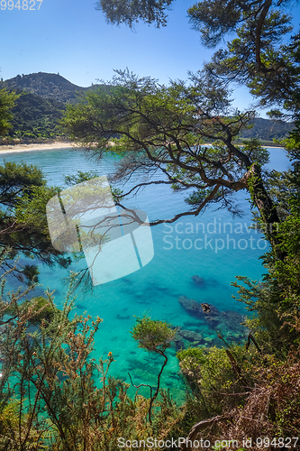 Image of Track view in Abel Tasman National Park, New Zealand