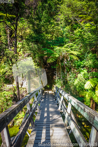 Image of Bridge on a river. Abel Tasman National Park, New Zealand