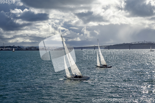 Image of Auckland bridge view from the sea and sailing ship, New Zealand