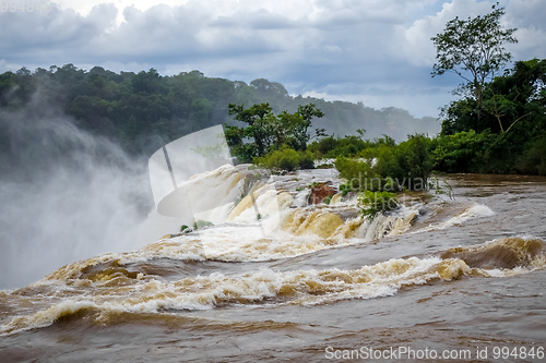 Image of iguazu falls