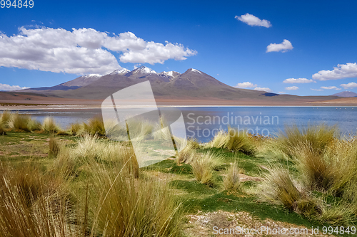 Image of Altiplano laguna in sud Lipez reserva, Bolivia