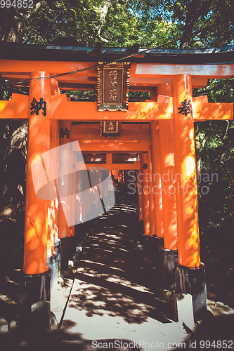 Image of Fushimi Inari Taisha torii, Kyoto, Japan