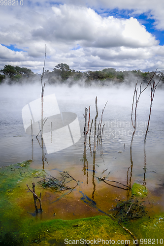 Image of Hot springs lake in Rotorua, New Zealand