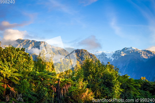 Image of Franz Josef glacier and rain forest, New Zealand