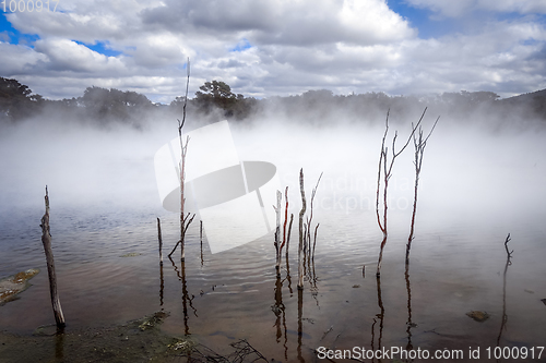 Image of Misty lake and forest in Rotorua, New Zealand