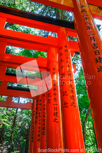 Image of Fushimi Inari Taisha torii, Kyoto, Japan