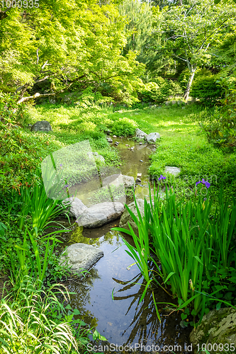 Image of Maruyama japanese garden, Kyoto, Japan