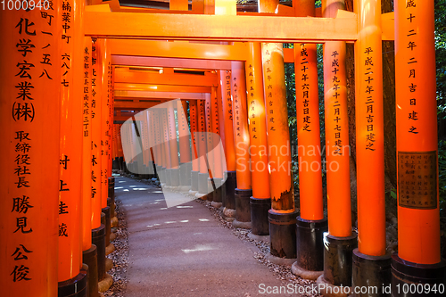 Image of Fushimi Inari Taisha torii, Kyoto, Japan