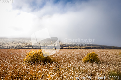 Image of Mountain fields landscape in New Zealand