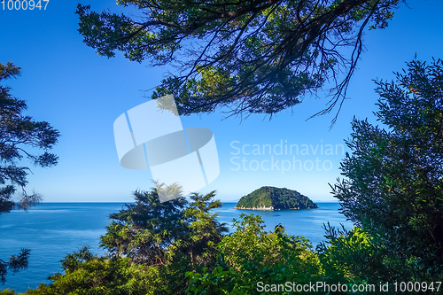 Image of Track view in Abel Tasman National Park, New Zealand