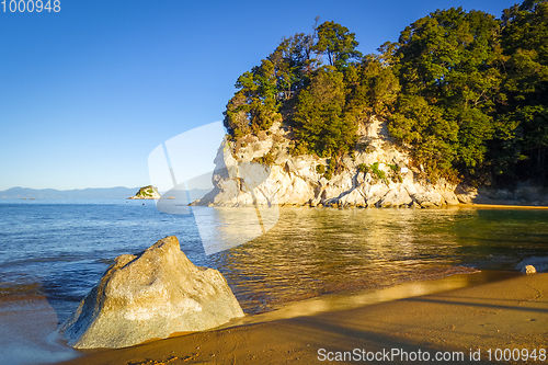 Image of Creek at sunset in Abel Tasman National Park, New Zealand