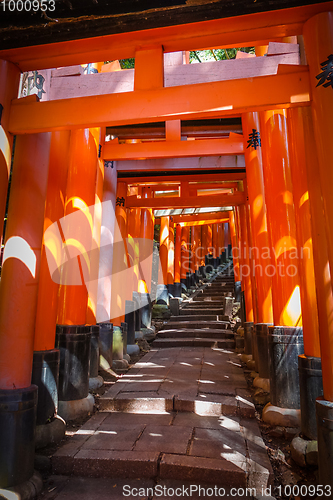 Image of Fushimi Inari Taisha torii, Kyoto, Japan