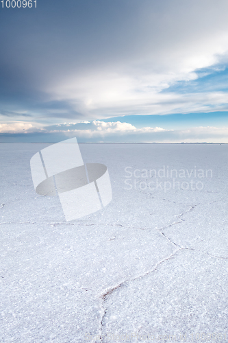 Image of Salar de Uyuni desert, Bolivia