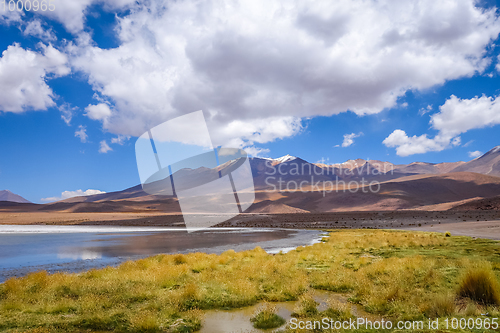 Image of Altiplano laguna in sud Lipez reserva, Bolivia