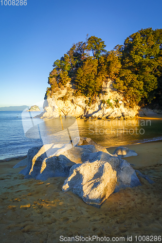 Image of Creek at sunset in Abel Tasman National Park, New Zealand