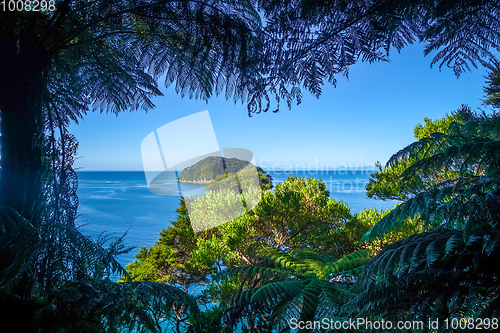 Image of Track view in Abel Tasman National Park, New Zealand