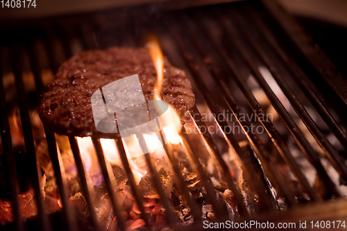 Image of delicious grilled meat on barbecue