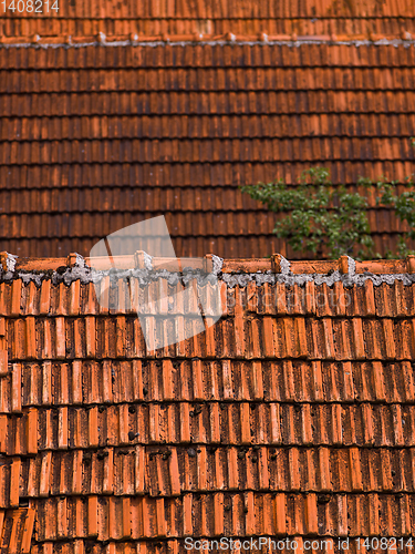 Image of Old roof tiles