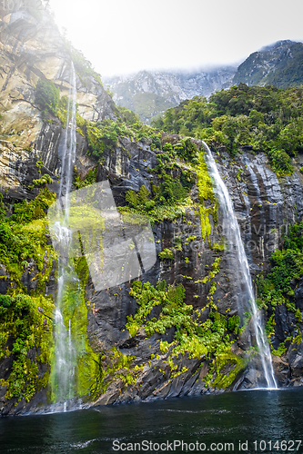 Image of Waterfall in Milford Sound lake, New Zealand