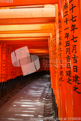 Image of Fushimi Inari Taisha torii, Kyoto, Japan