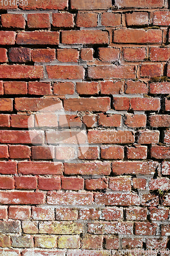 Image of Brick wall texture background