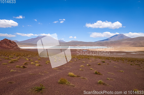 Image of Laguna Honda in sud Lipez Altiplano reserva, Bolivia