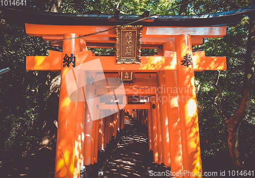 Image of Fushimi Inari Taisha torii, Kyoto, Japan