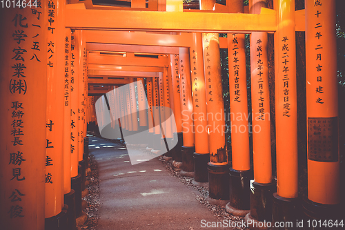 Image of Fushimi Inari Taisha torii, Kyoto, Japan