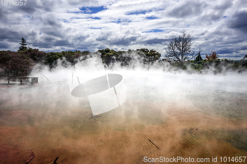 Image of Hot springs lake in Rotorua, New Zealand