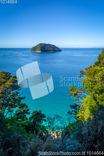 Image of Track view in Abel Tasman National Park, New Zealand