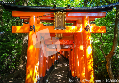 Image of Fushimi Inari Taisha torii, Kyoto, Japan