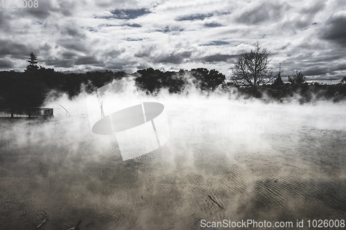 Image of Misty lake and forest in Rotorua, New Zealand