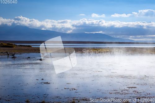 Image of Lake in sol de manana geothermal field, sud Lipez reserva, Boliv