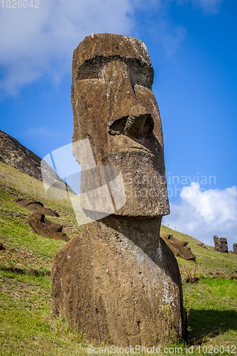 Image of Moais statues on Rano Raraku volcano, easter island