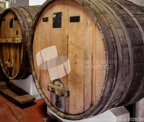 Image of wood wine barrels in a winery