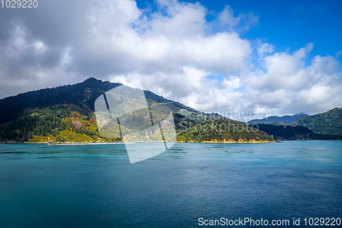 Image of Marlborough Sounds, New Zealand