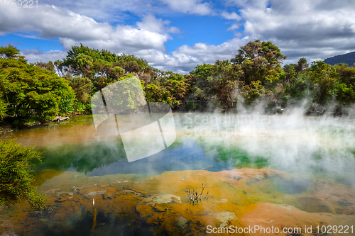 Image of Hot springs lake in Rotorua, New Zealand