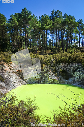Image of Green lake in Waiotapu, Rotorua, New Zealand